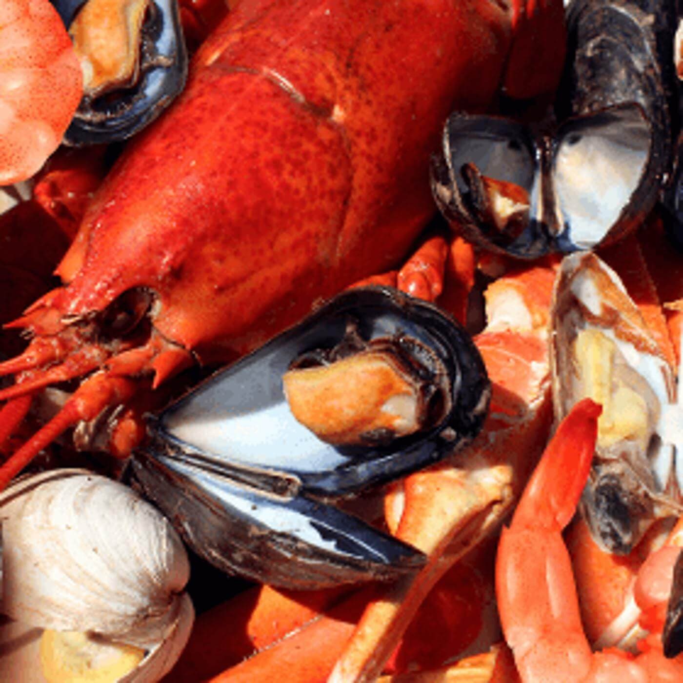 The Captain's Boil
