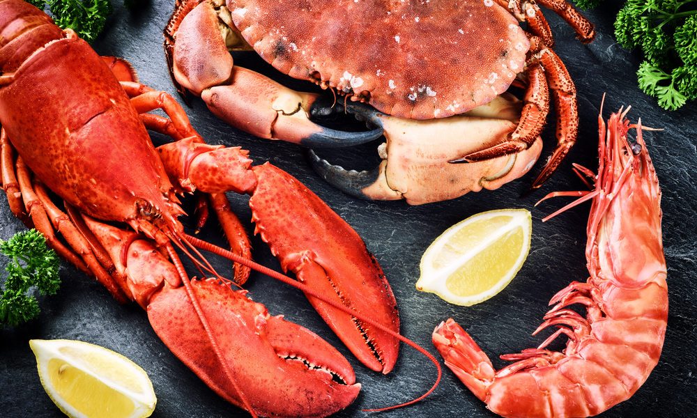 Shellfish