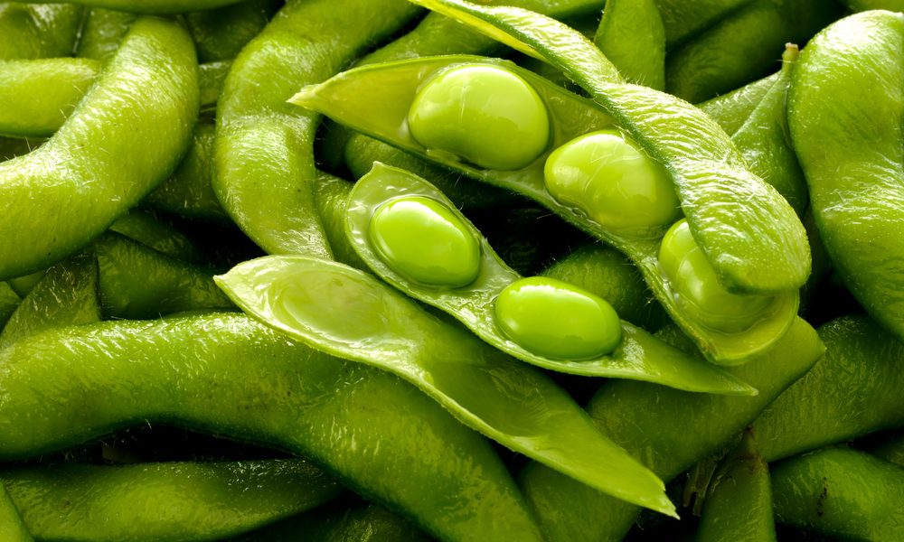 Soy